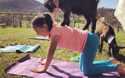 Goat Yoga on Franny’s Farm
