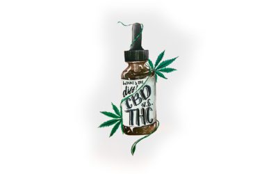 The Difference Between CBD and THC All You Need to Know and More