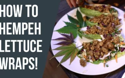 How To Make Hempeh Lettuce Wraps with Chef Frank