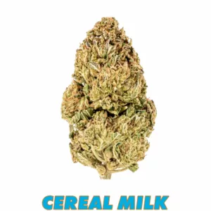 Standard-Cereal-Milk THCA Hemp Flower