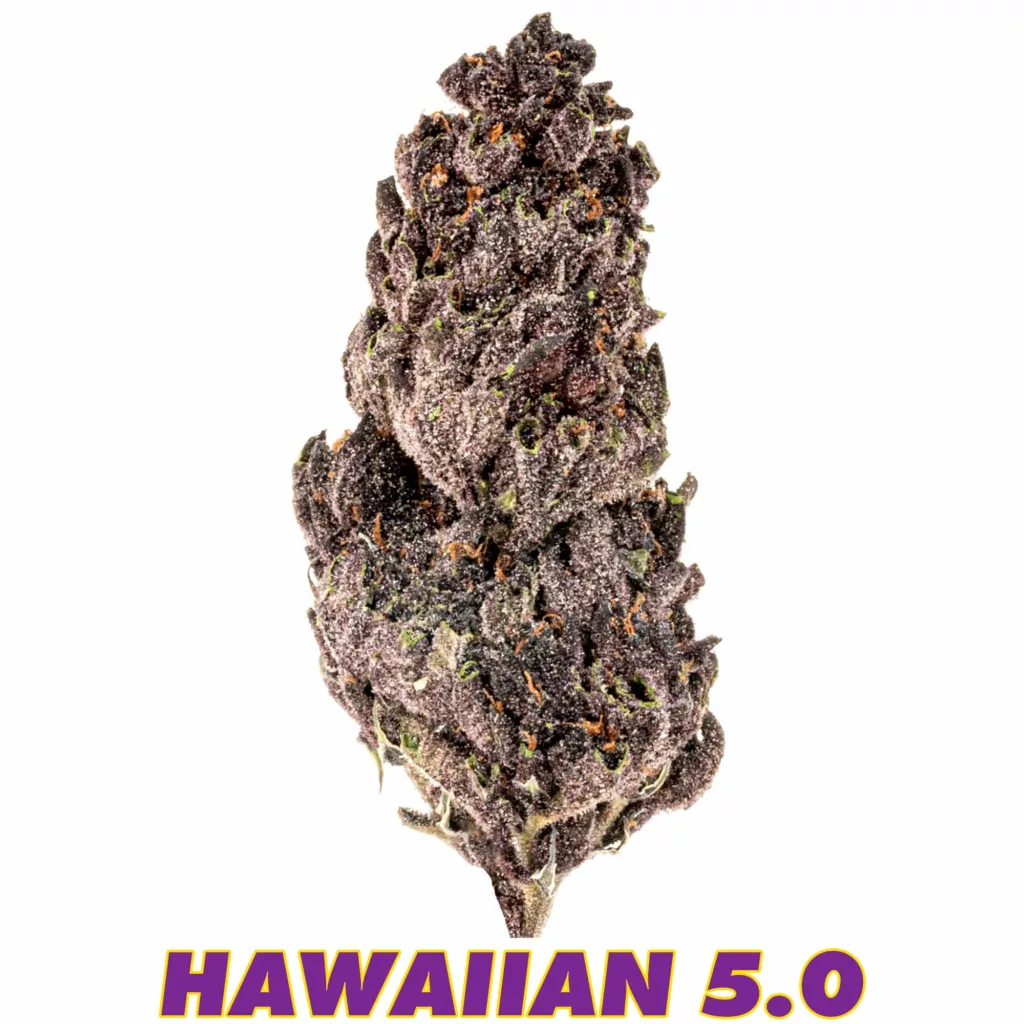 Standard-Hawaiian-5.0 THCA Hemp Flower