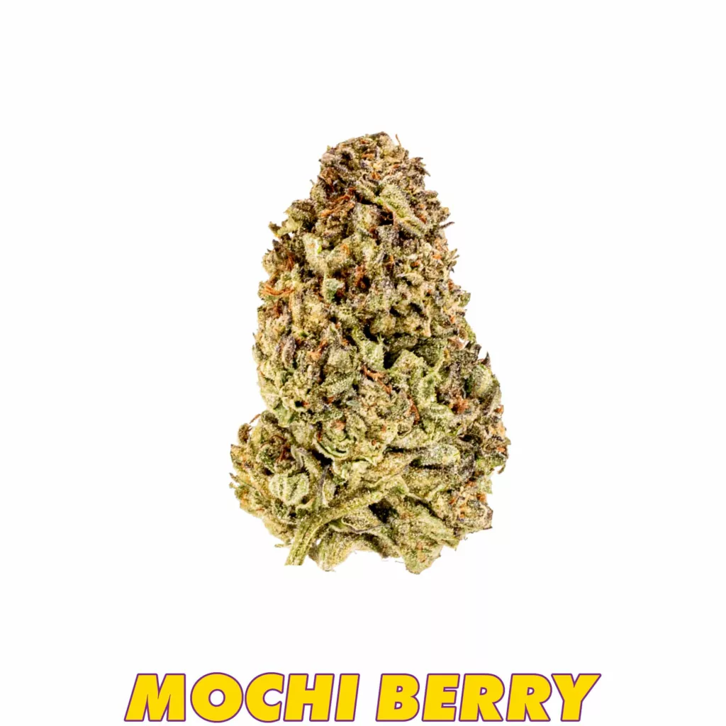 Standard-Mochi-Berry THCA Hemp Flower
