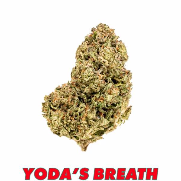 Standard-Yodas-Breath THCA Hemp Flower